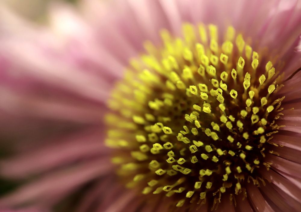 Photograph by Лада Денисова