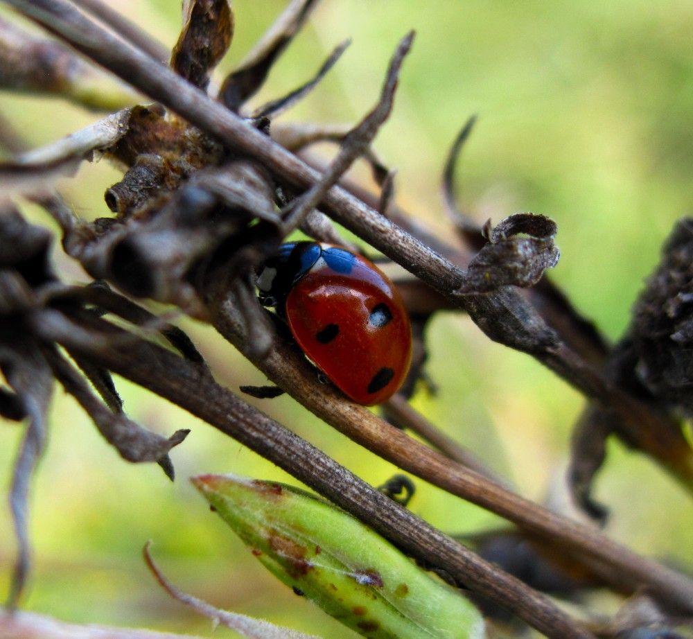 Photograph by Viktoriia Rusanova