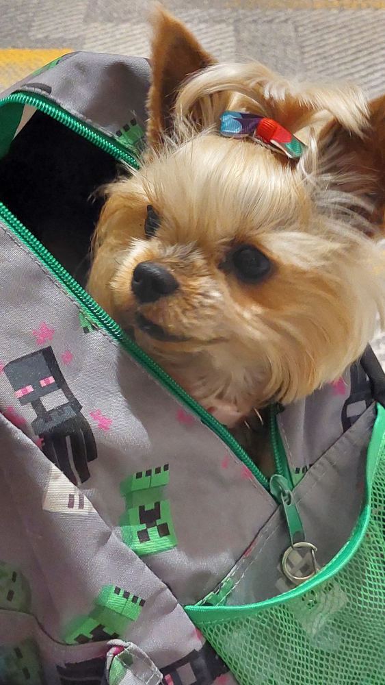 Photograph by Svitlana Usatenko