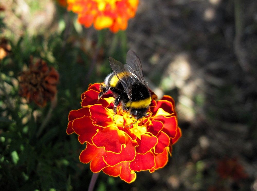 Photograph by Viktoriia Rusanova