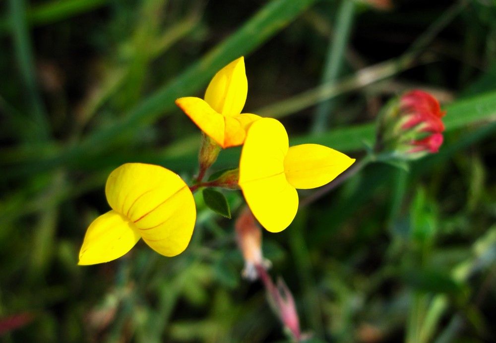 Photograph by Viktoriia Rusanova