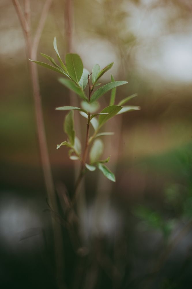 Photograph by Анастасия Исаичева