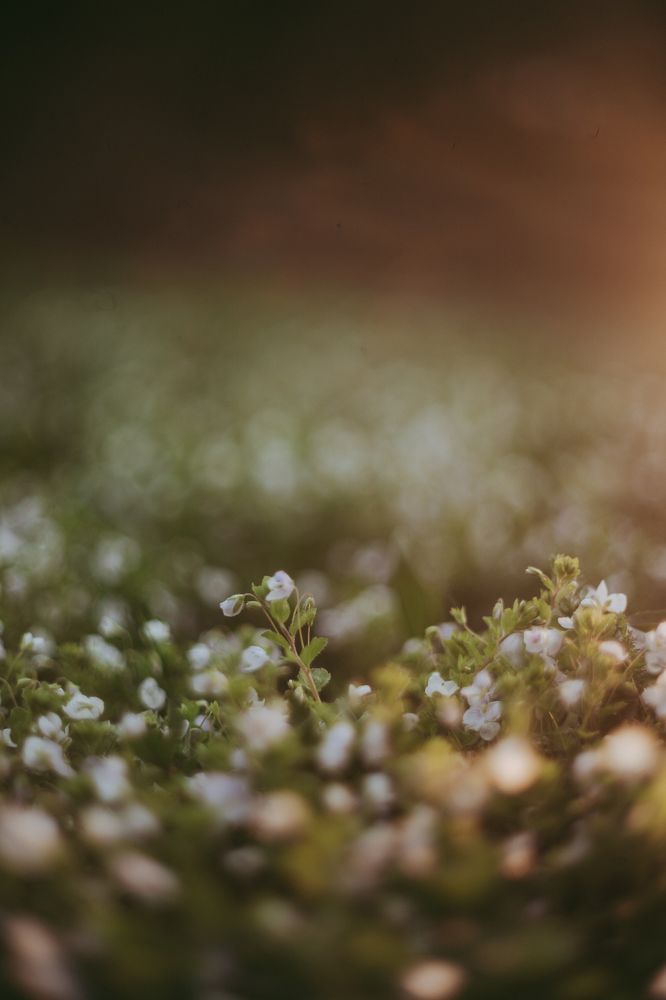 Photograph by Анастасия Исаичева