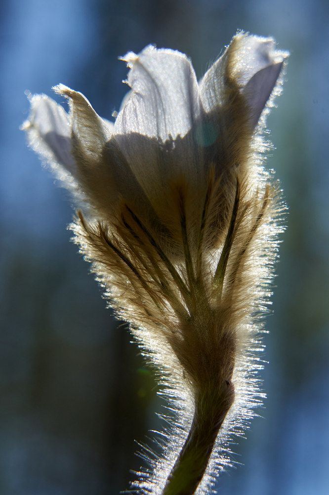 Photograph by Victor Krachkovsky