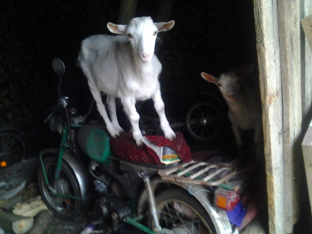 Photograph by Иван Полиненко