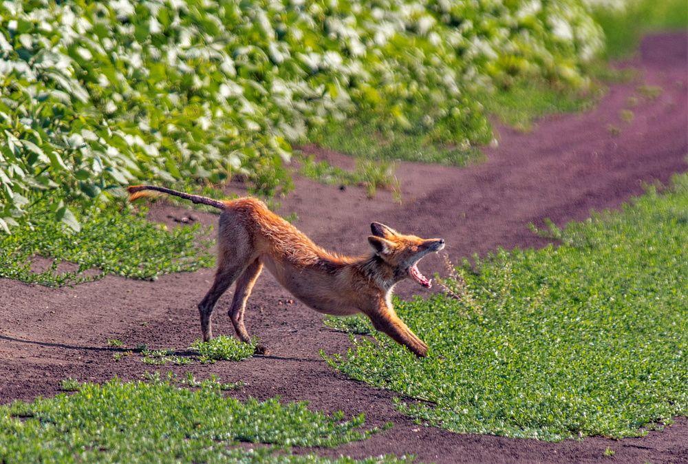 Photograph by Алексей Сиваков