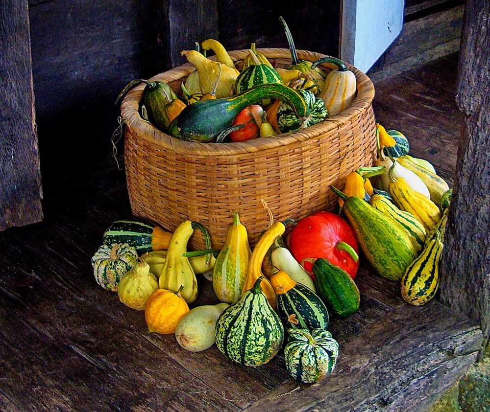 Фотография автора АЛЕКСАНДР ЦЫГЕЛЬНЮК