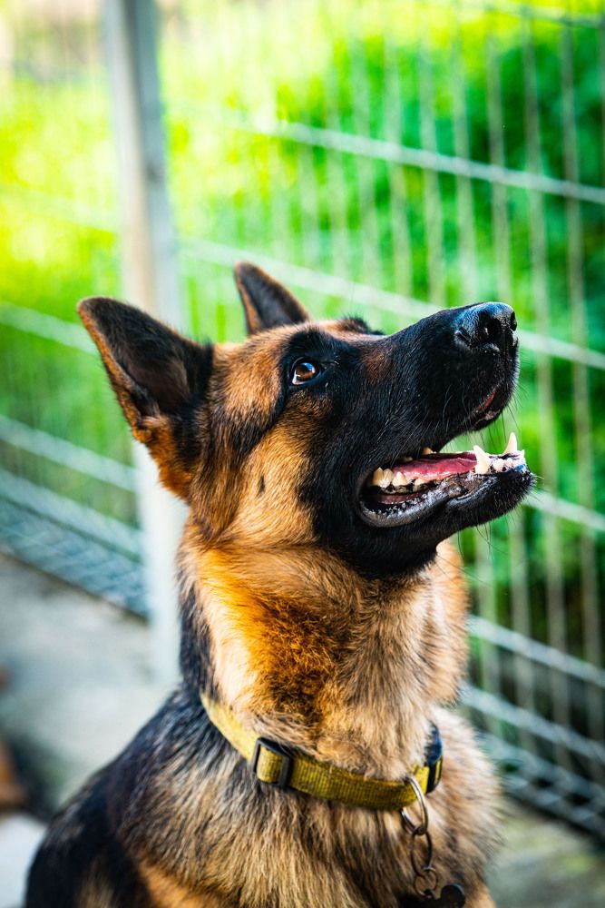 Photograph by EVELYN SIEW YEN CHAN