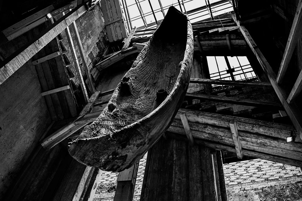 Photograph by Joaquin Zaragoza