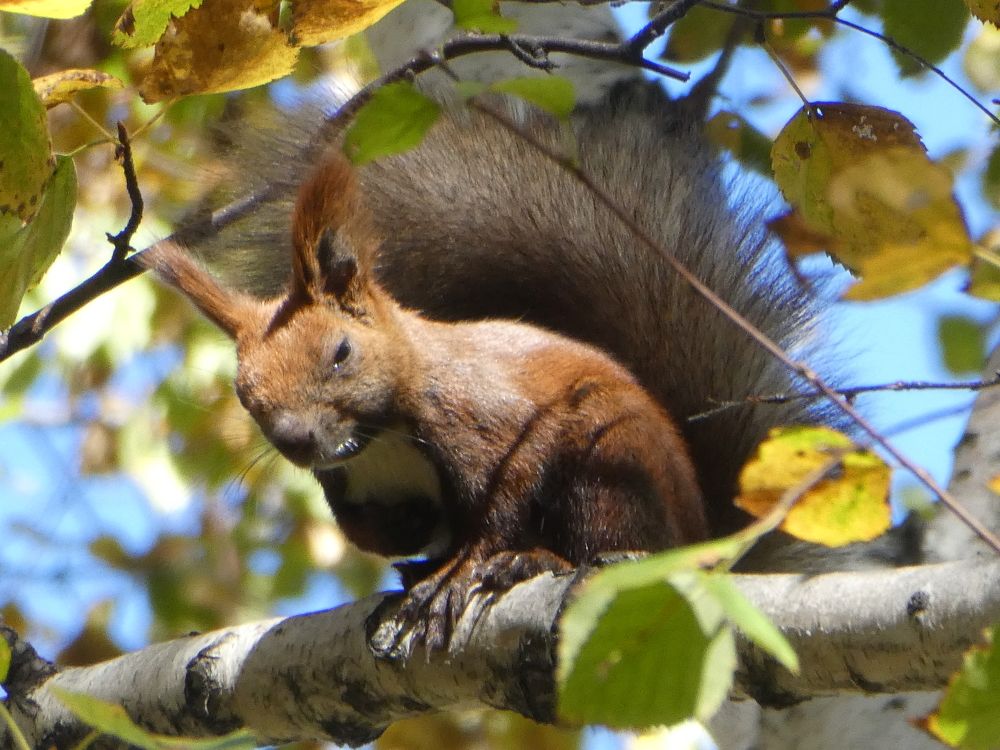 Photograph by Андрей Садчиков