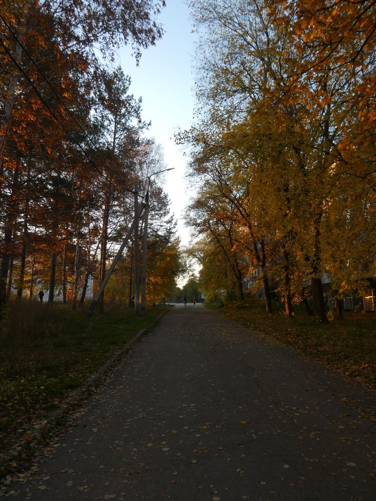 Photograph by Андрей Садчиков