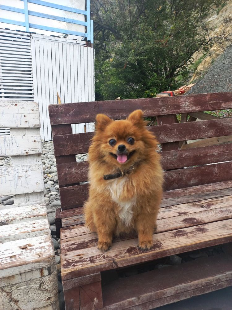 Photograph by VIKTORIA LEBEDEVA