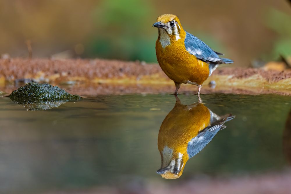 Photograph by Sandip Patel