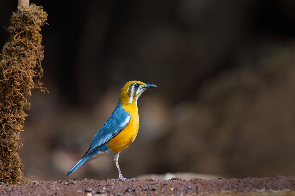 Photograph by Sandip Patel