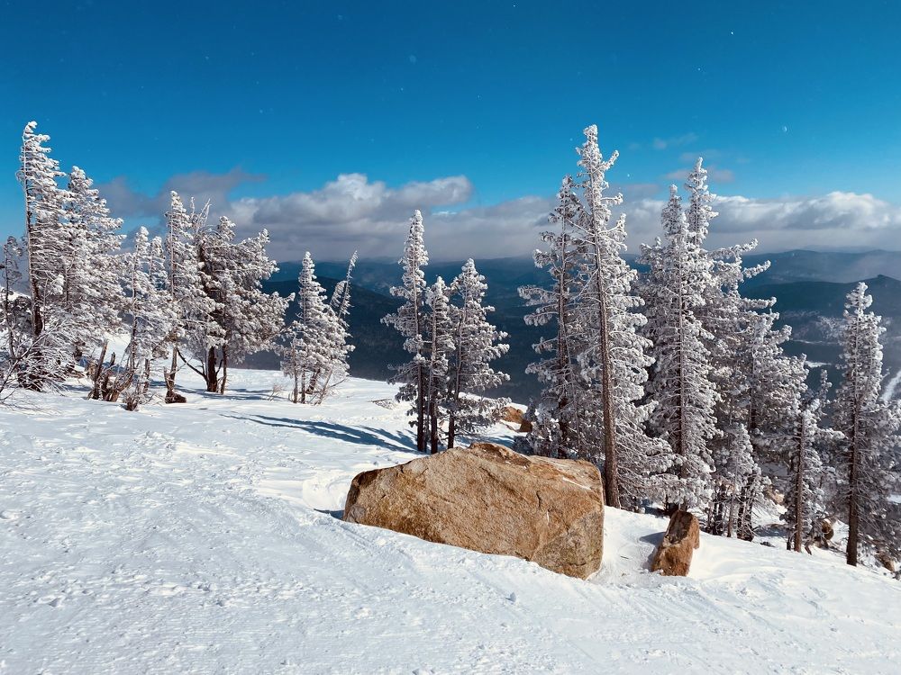 Photograph by Юлия