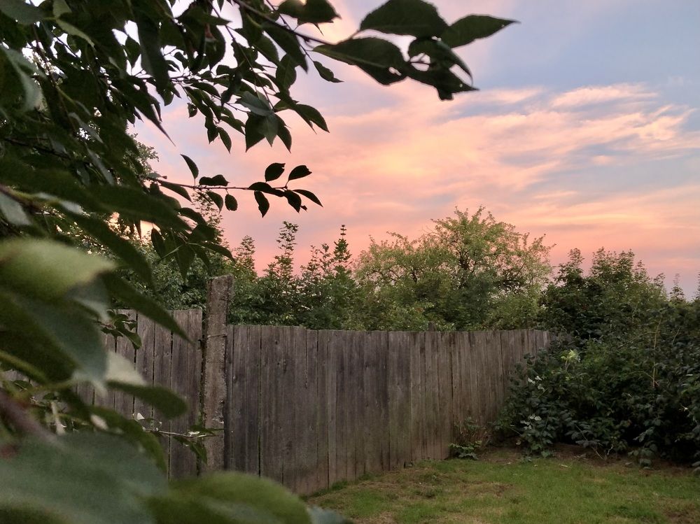 Photograph by Олеся Семёнова