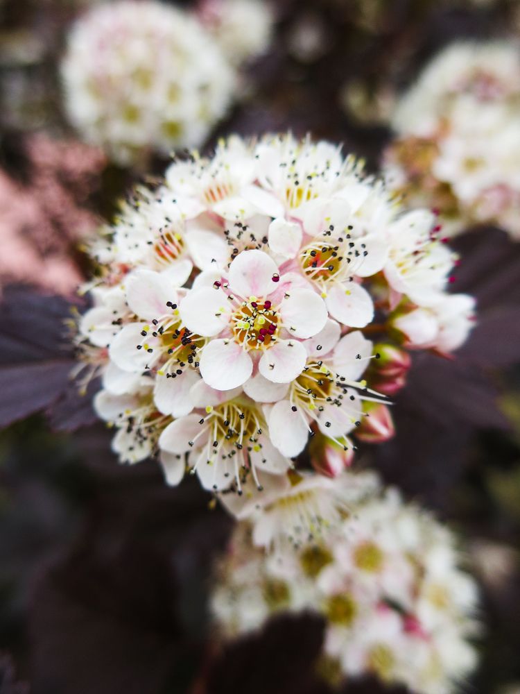 Photograph by Дарья Овсянникова