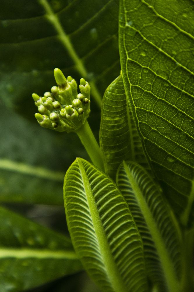 Фотография автора sachin gaurav