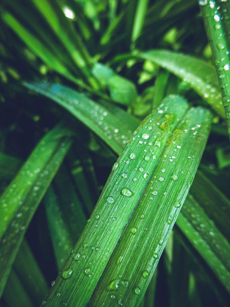 Photograph by Дарья Овсянникова