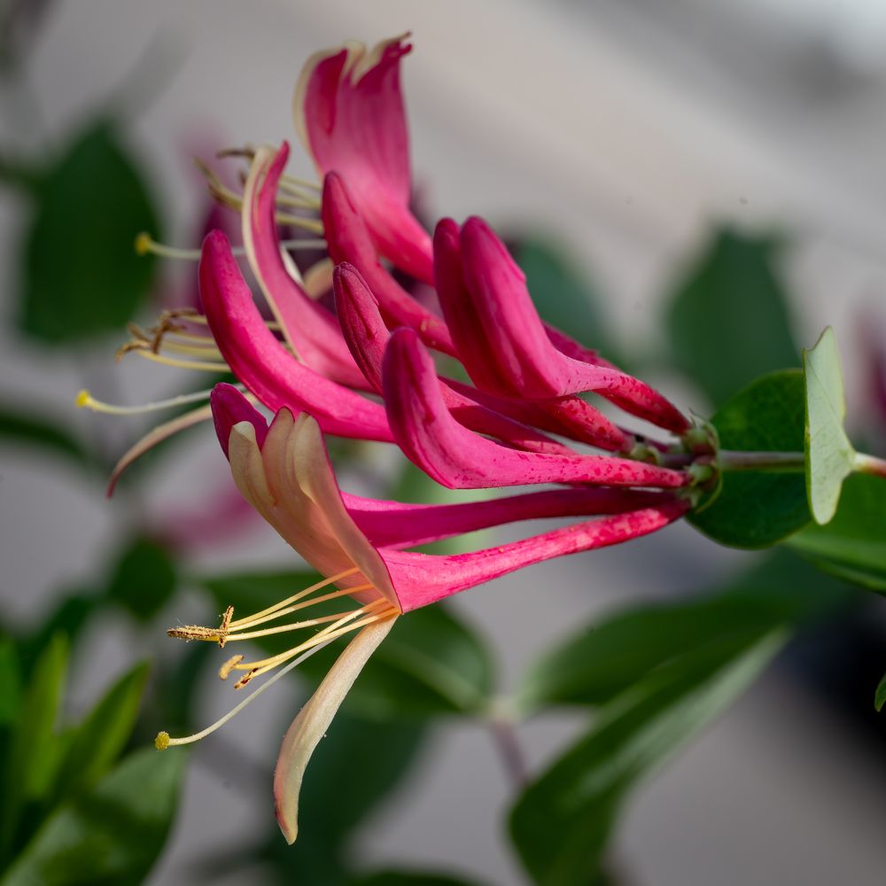 Фотография автора Дмитрий Referee