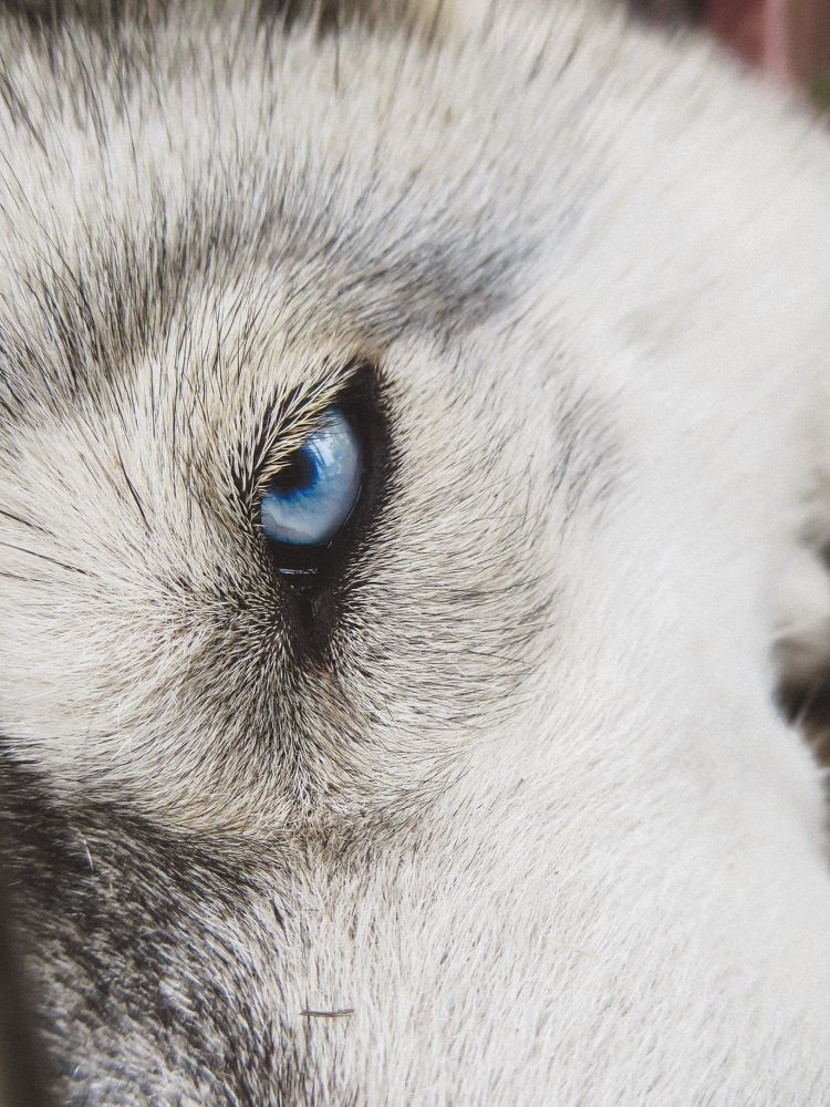 Photograph by Дарья Овсянникова