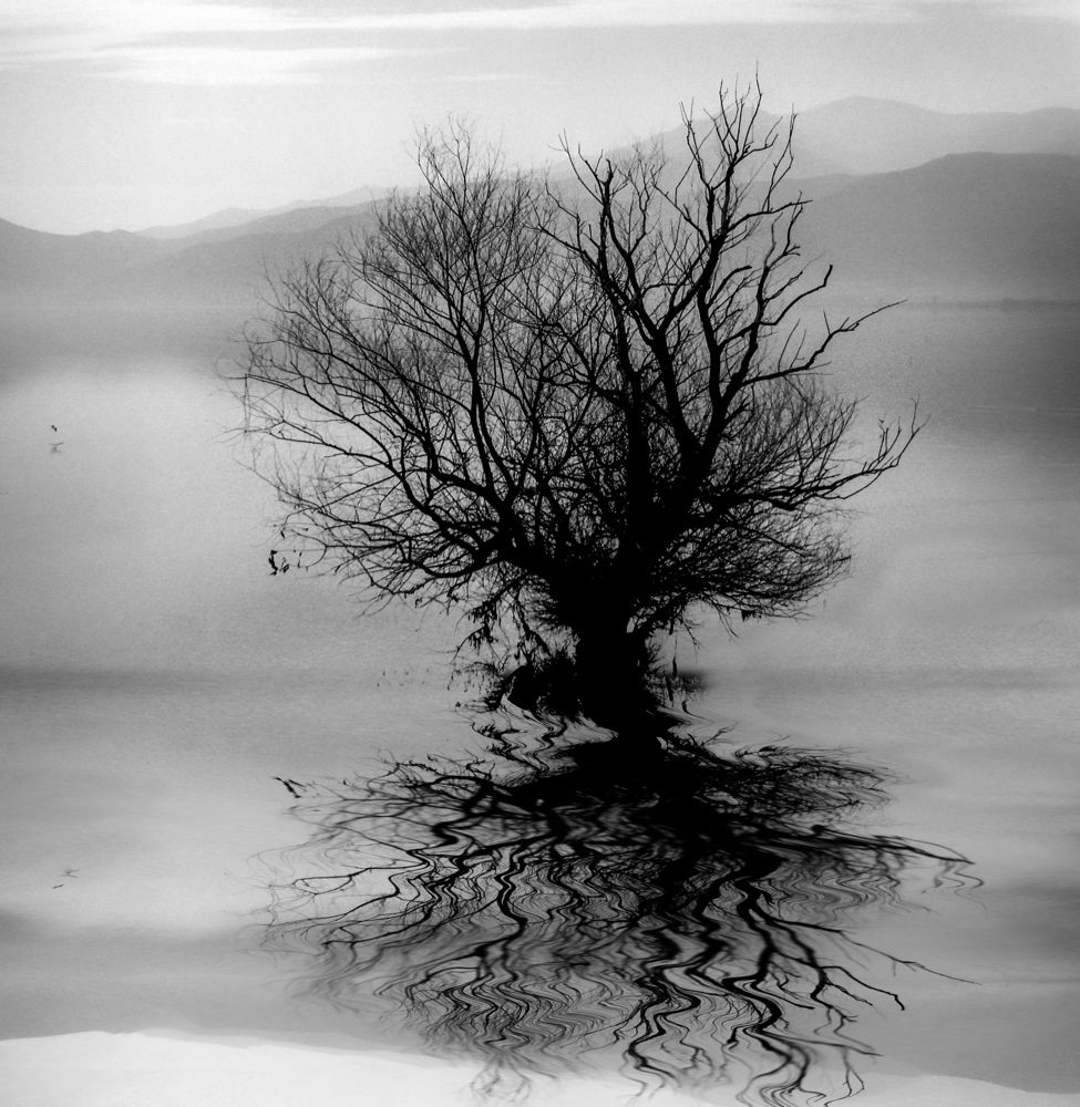 Photograph by Economidis Dimitris