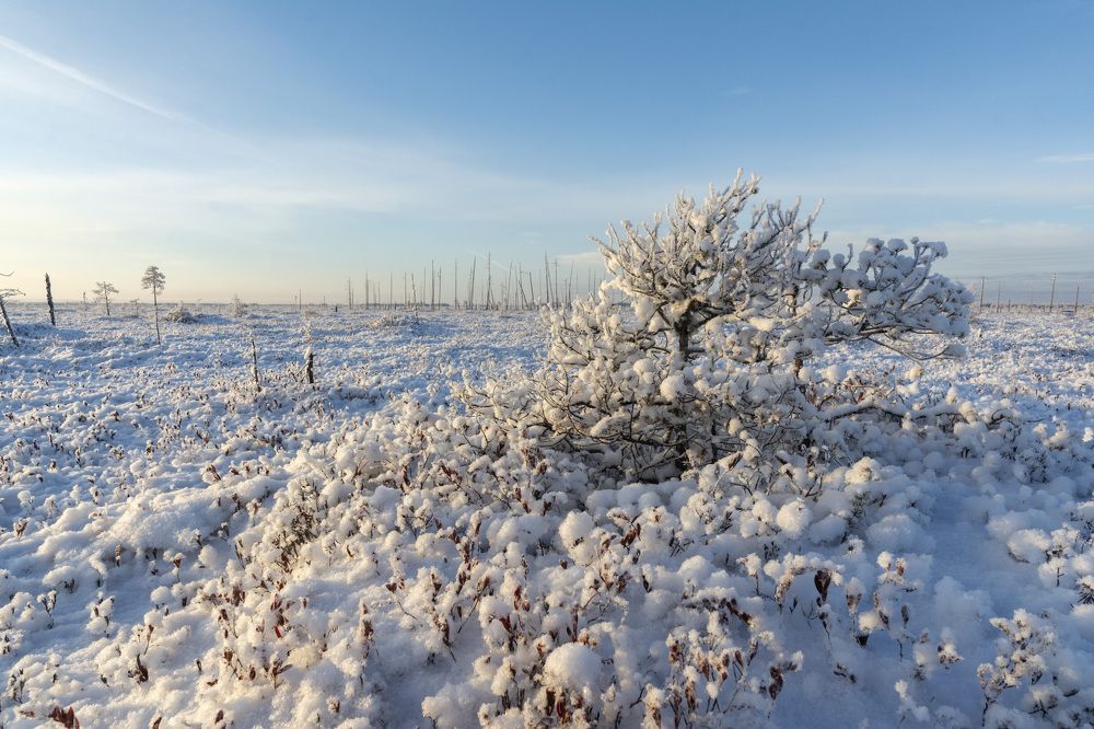 Photograph by Олег Малетин