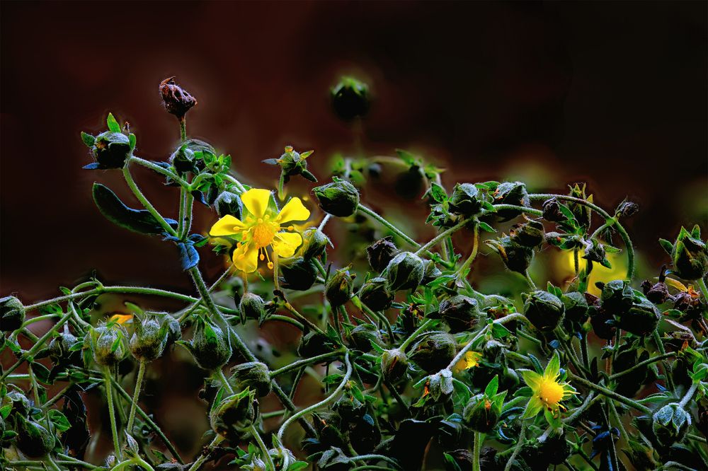 Photograph by Владимир Кваша