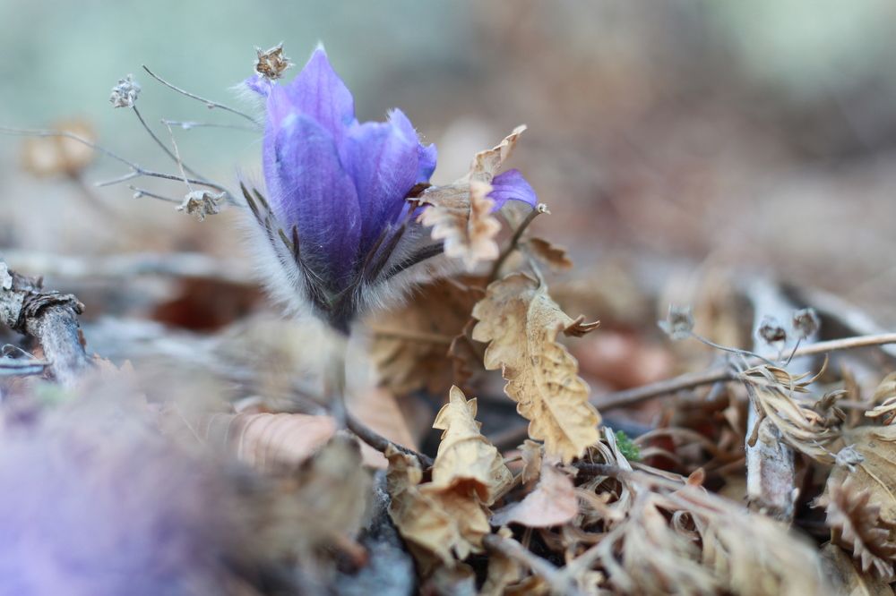 Photograph by Aleksey Maevskiy