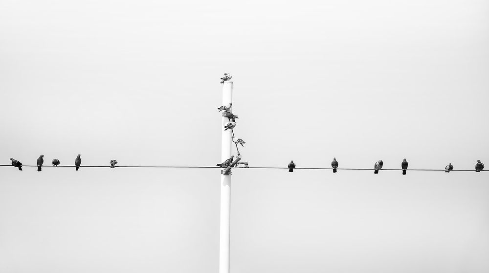 Фотография автора Mohammad Khani