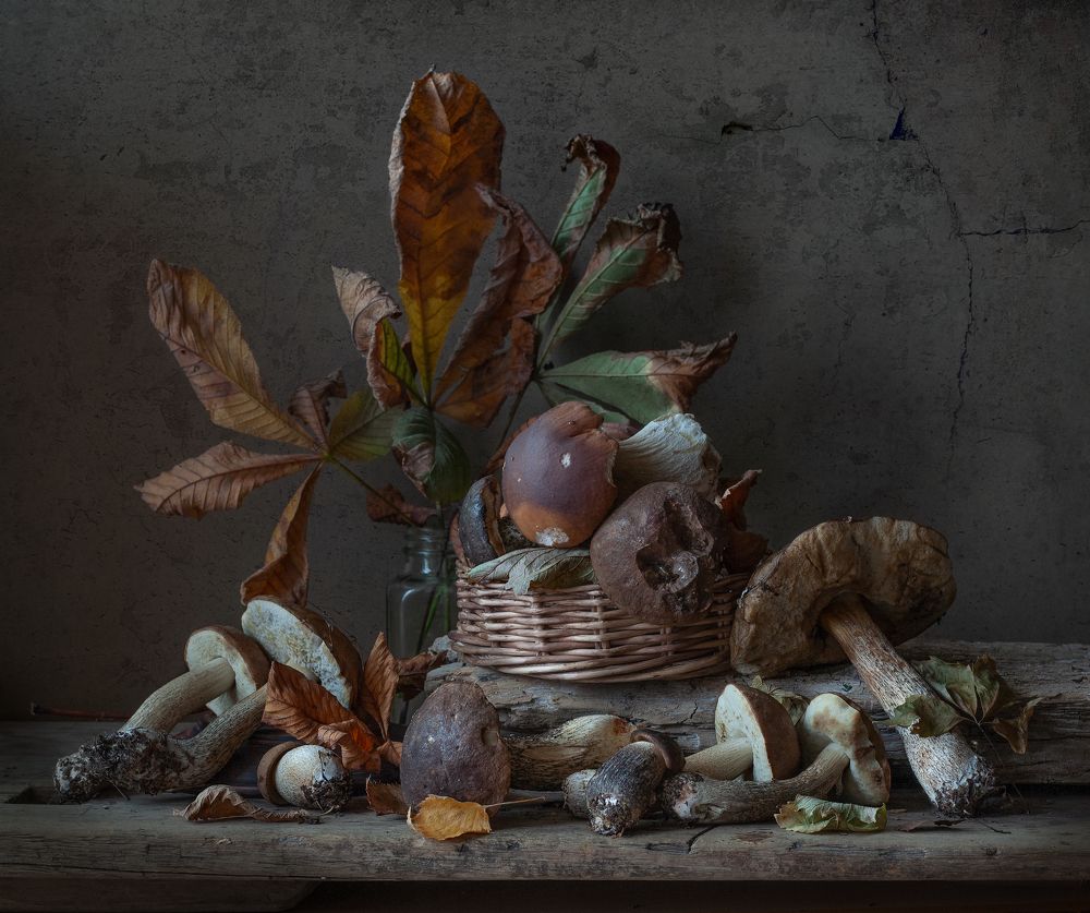 Photograph by Елена Виноградова