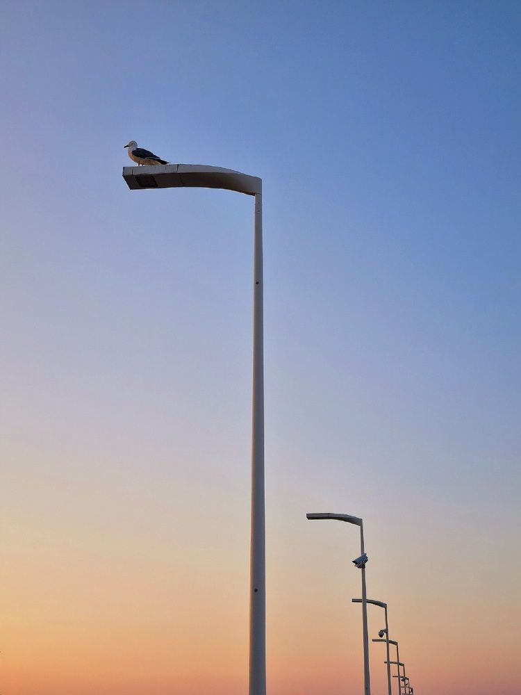 Photograph by Hanna Bourne