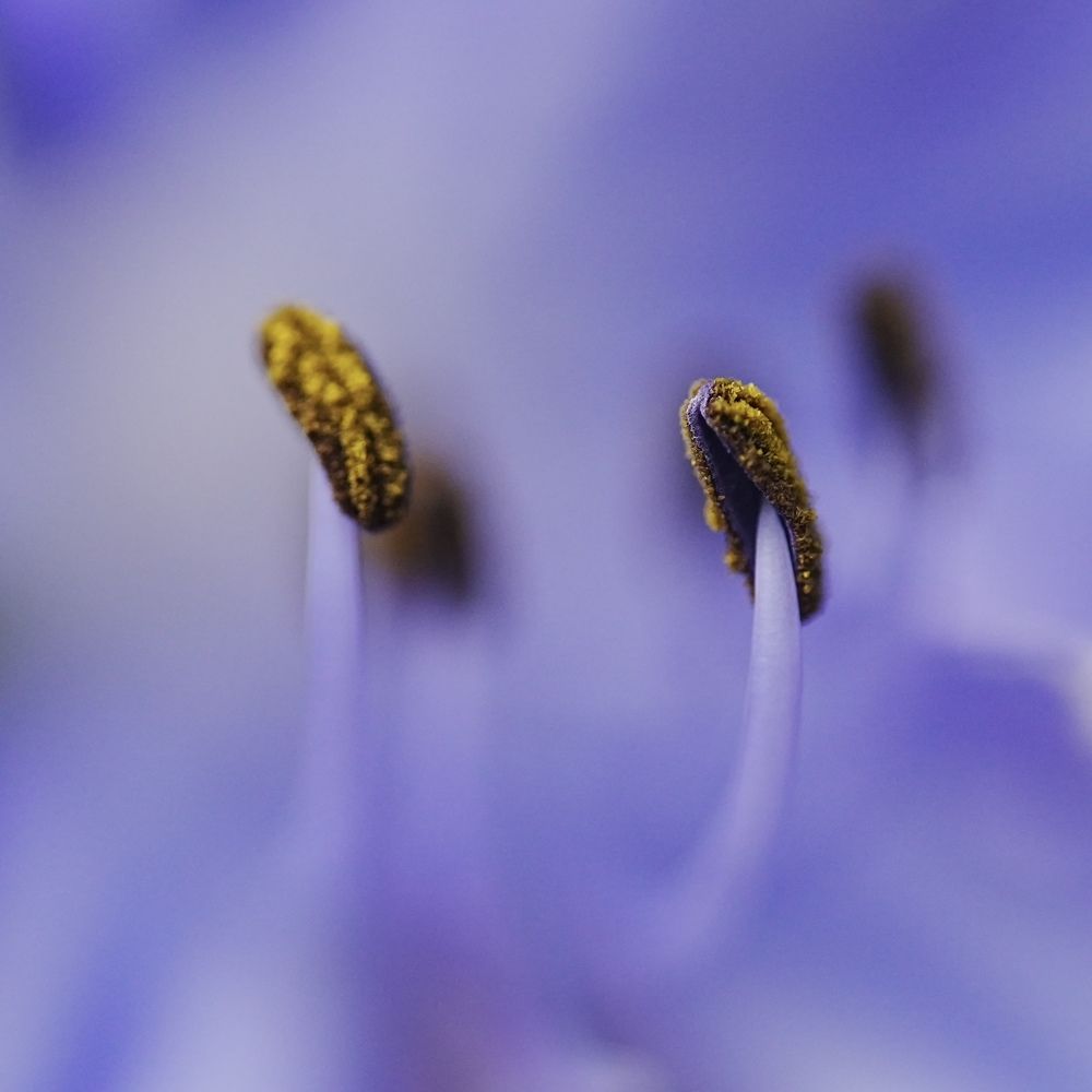 Photograph by Andrew Becker