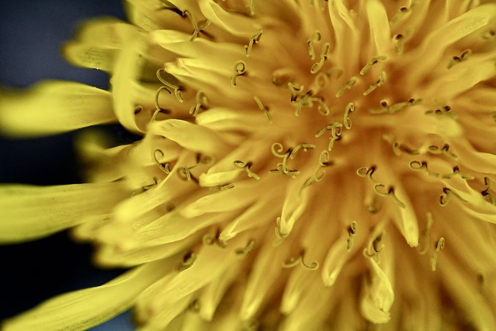 Photograph by Andrew Becker