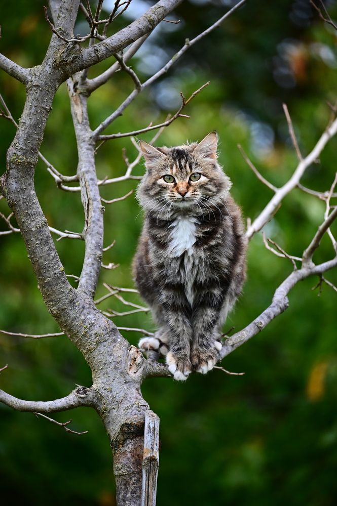 Photograph by Светлана Ивановна