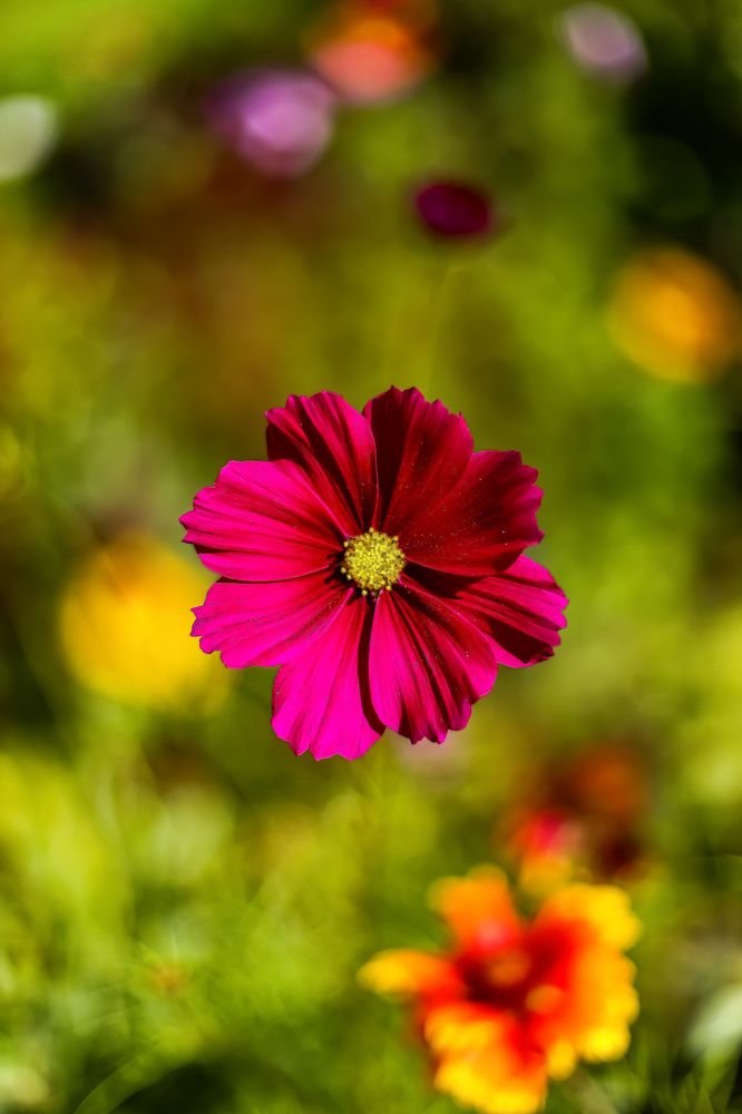 Фотография автора Michel PACHOT