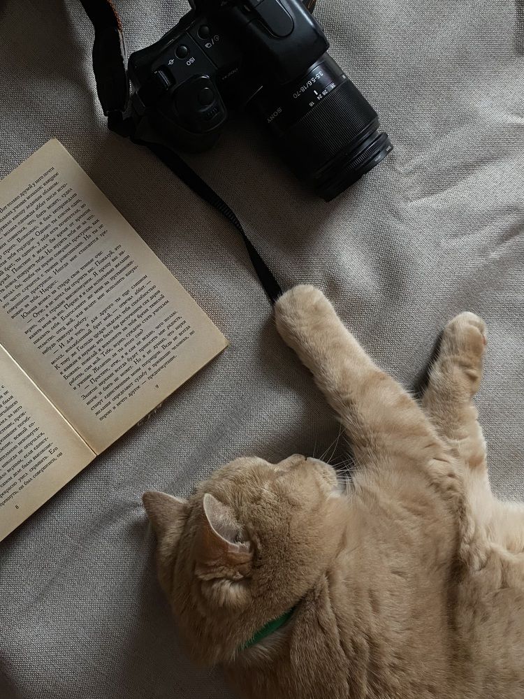 Photograph by Елена Войтова