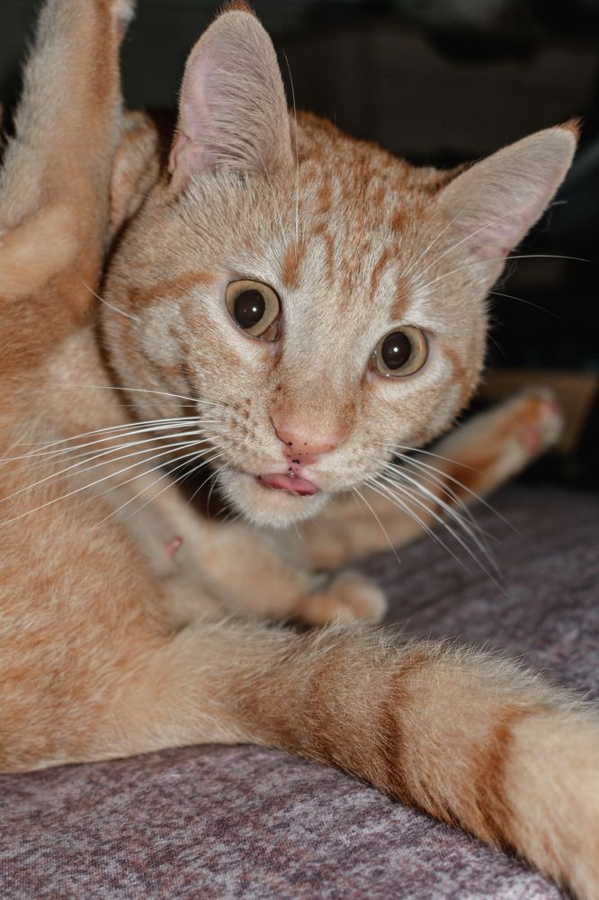 Photograph by Виктория Ушакова