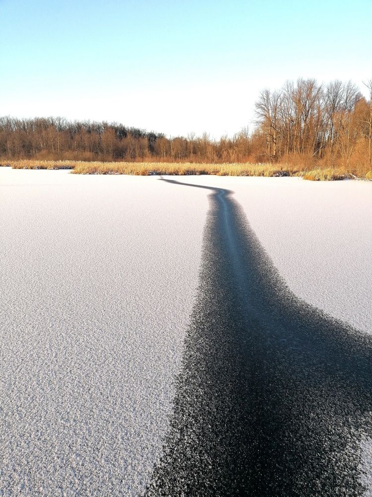 Дачное озеро