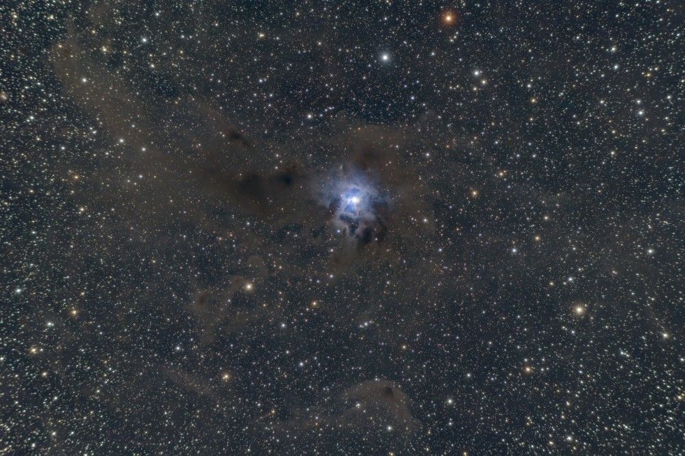 Photograph by Denis Nv