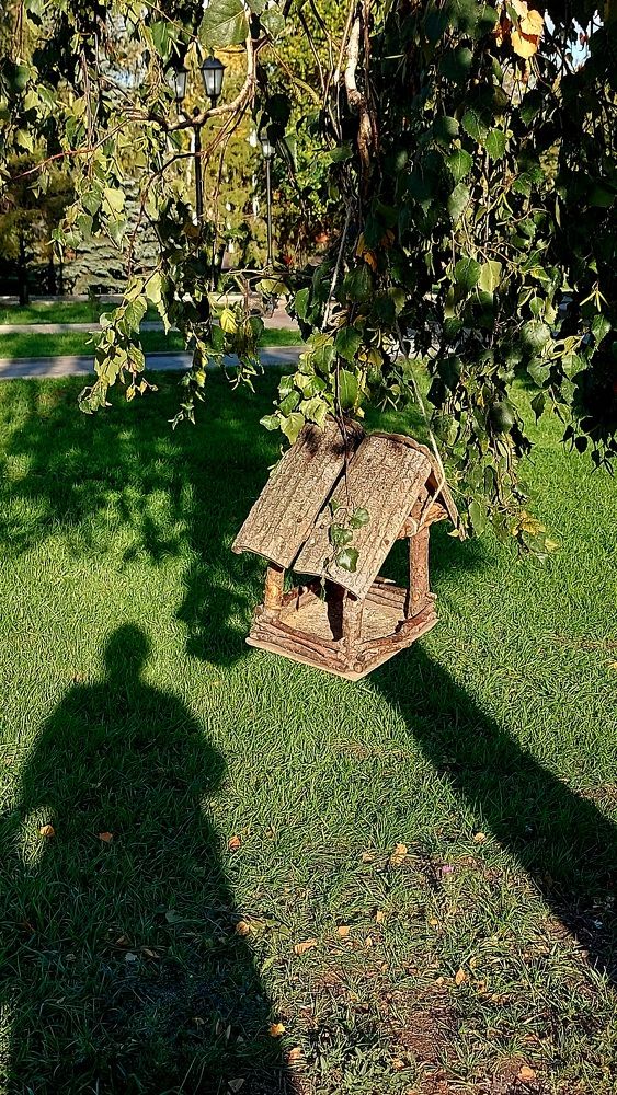 Photograph by Татьяна Биргулиева