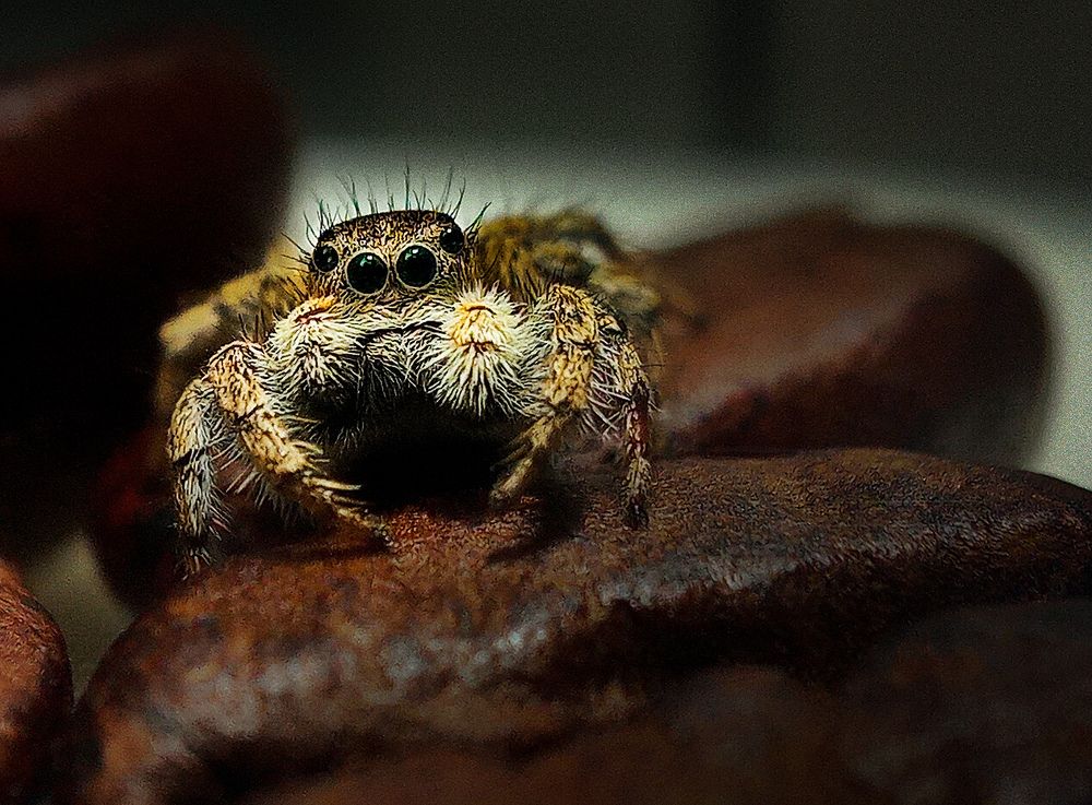 Фотография автора Mahdi Mohammadi