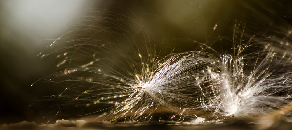 Photograph by Юрий Кизин