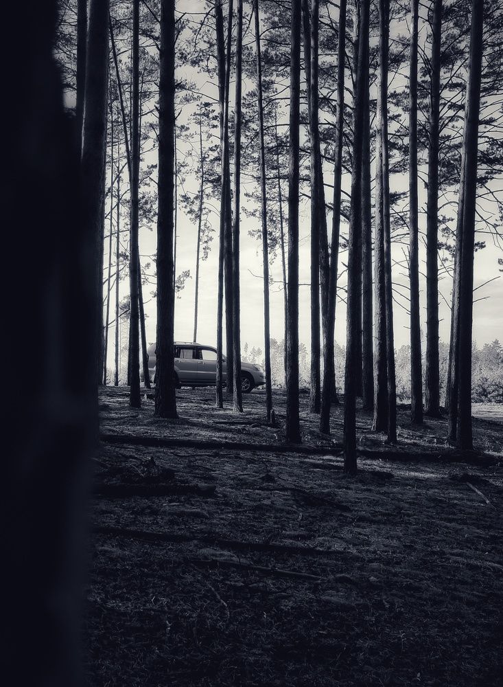 Photograph by Регина Джумалиева