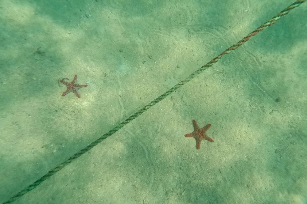 Photograph by Иван Соловьёв