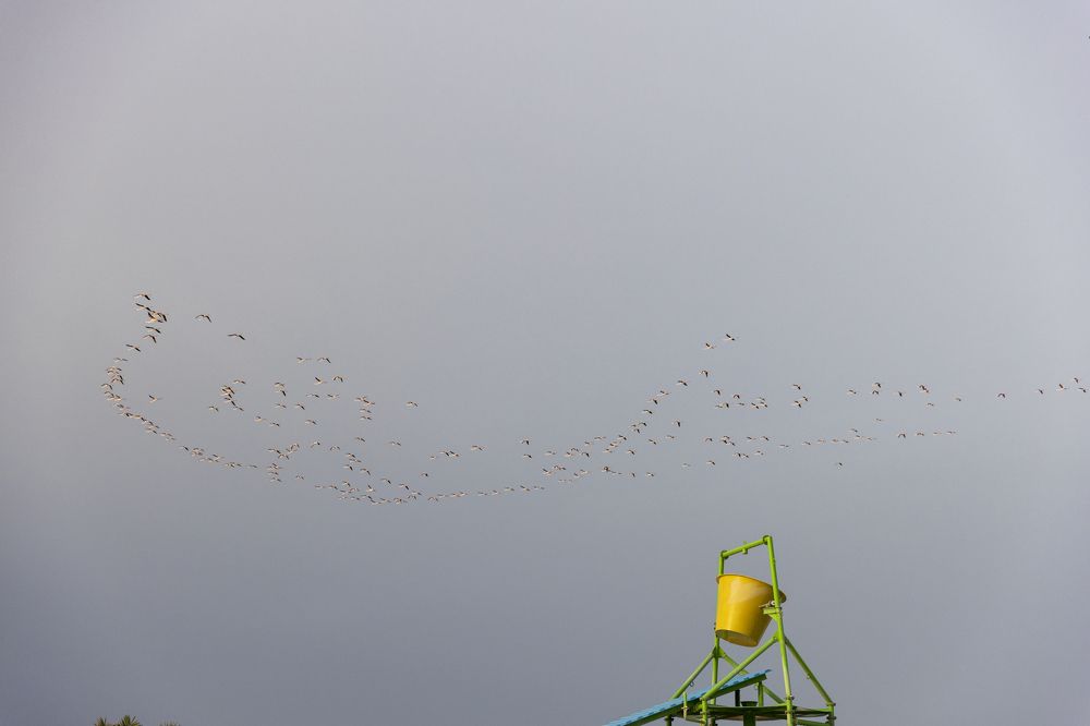 Photograph by Иван Соловьёв