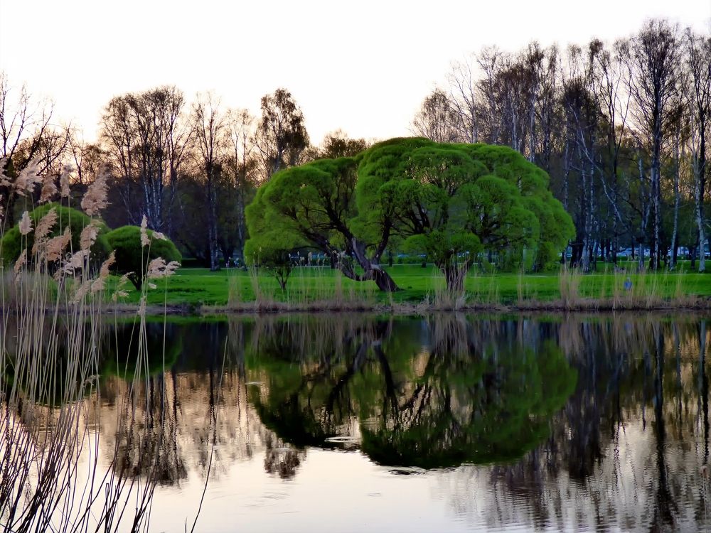 Photograph by Pjotr Alekseev