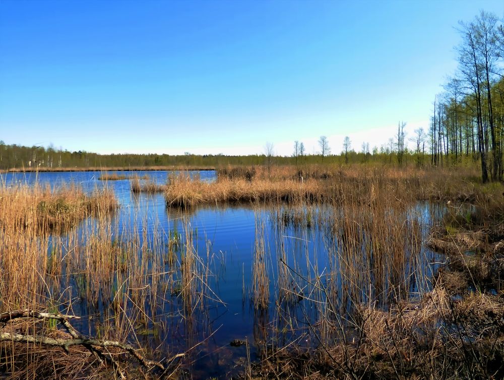 Photograph by Pjotr Alekseev