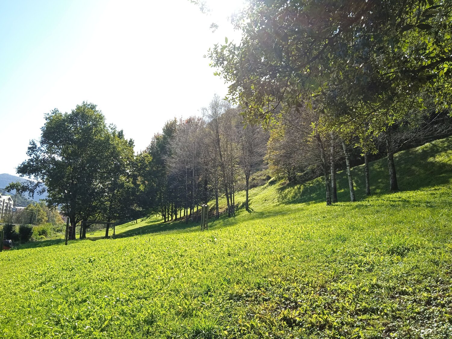 Photo #9762854