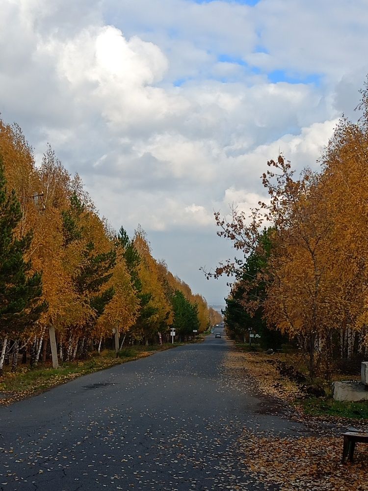 Осень в саду